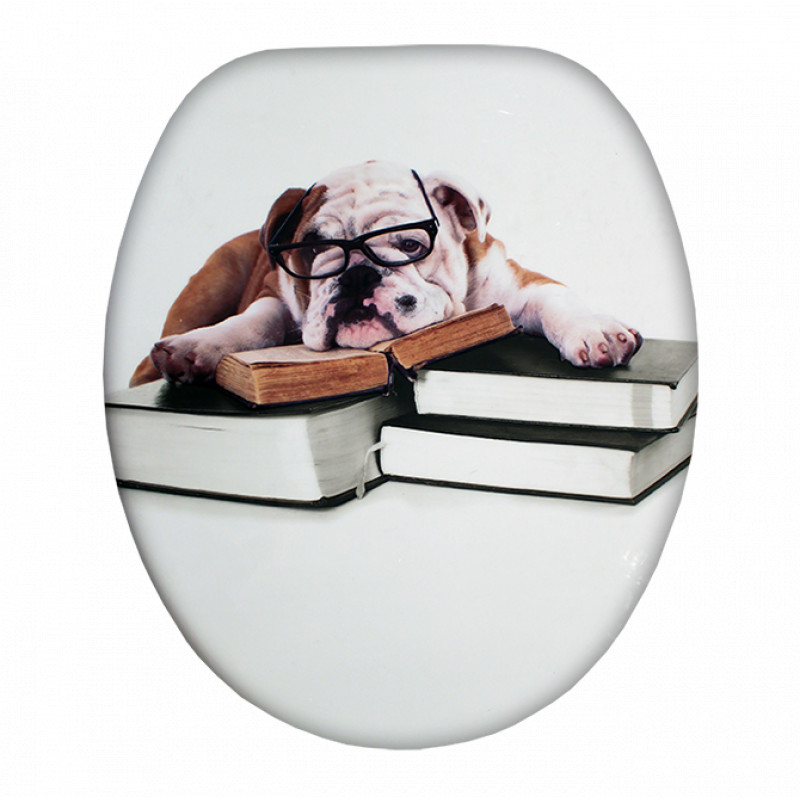 Bullbook, MDF Wc ülőke