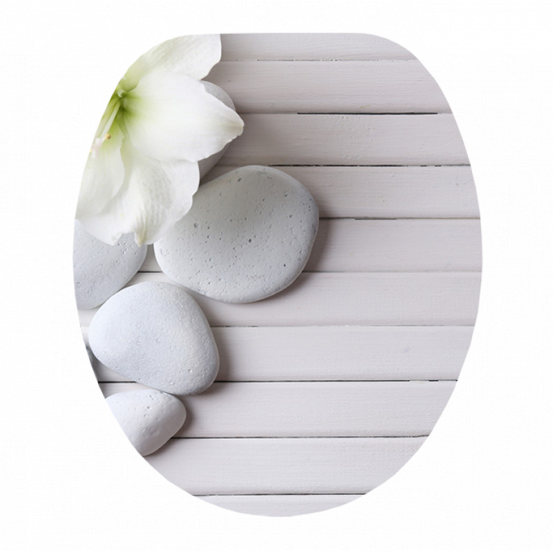 Dream, műanyag Wc ülőke