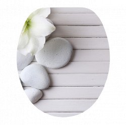 Dream, műanyag Wc ülőke WC-ülőke