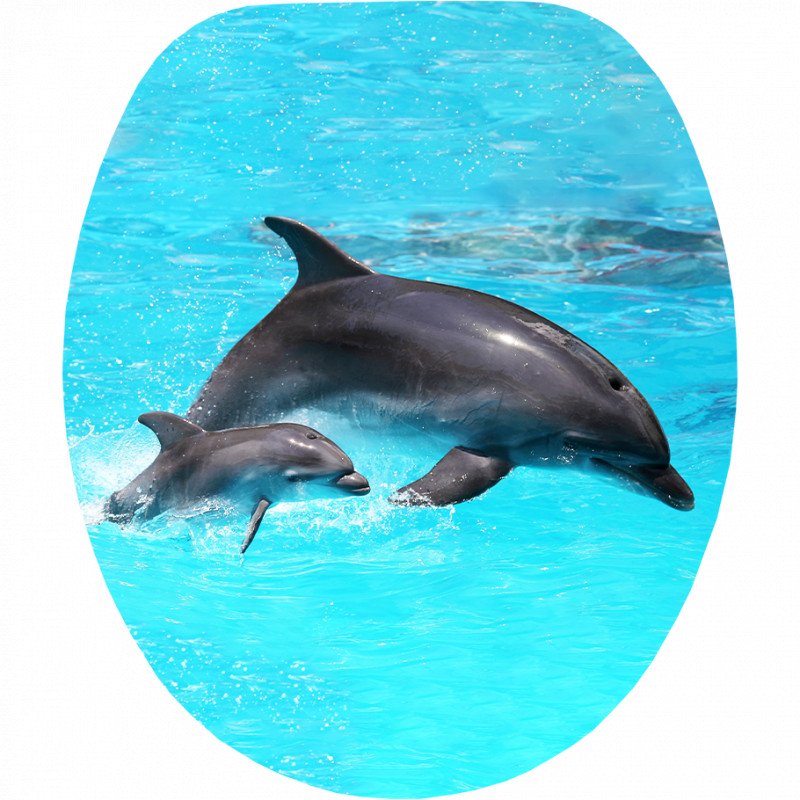 QUADRAT FLIPPER WC-ÜLŐKE